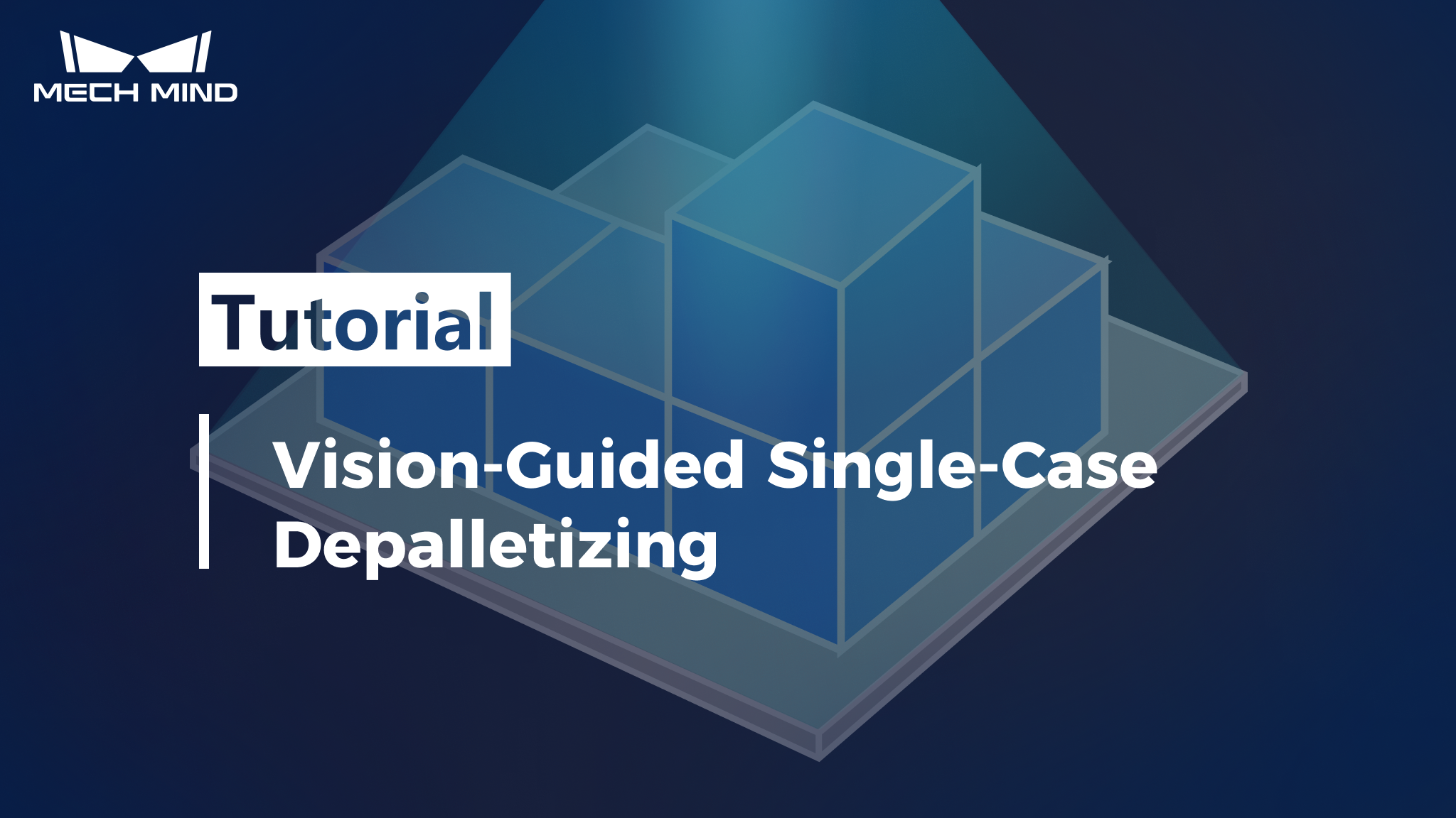 single case carton depalletizing