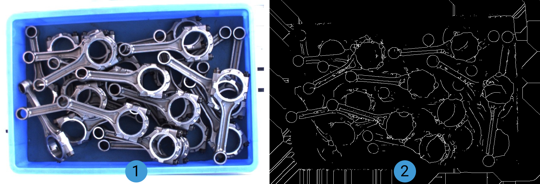 morphological transformations contrast effects of skeleton1