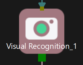 visual recognition